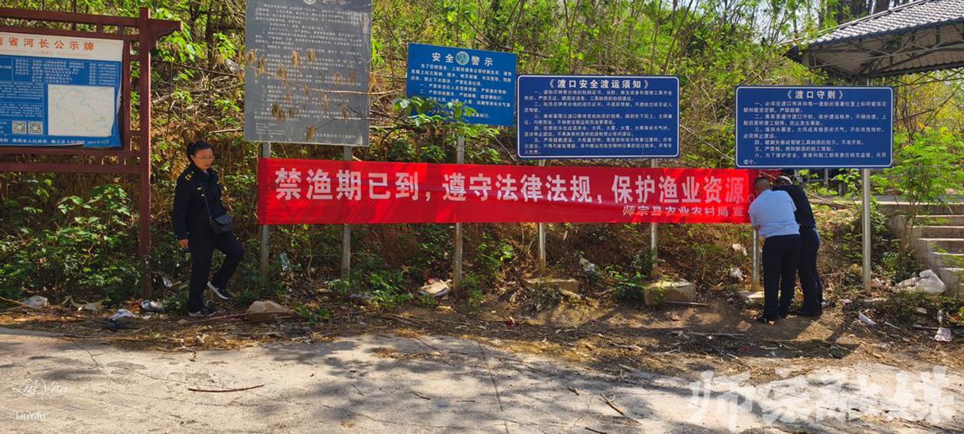 游家山石蛙